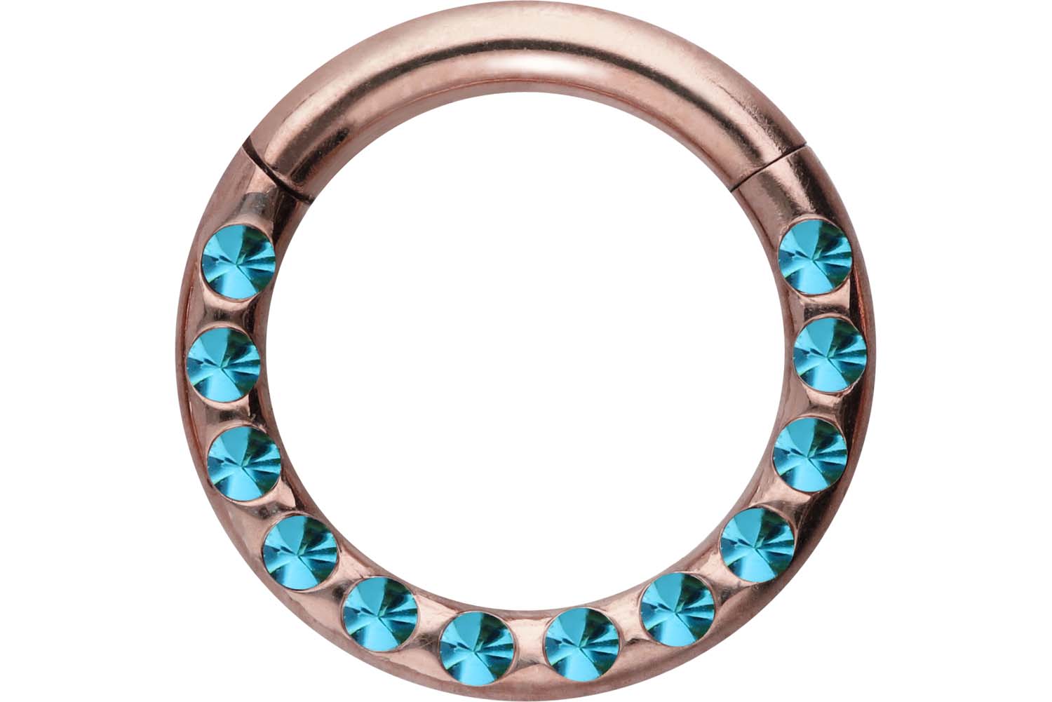 Chirurgenstahl Segmentring Clicker Piercing KRISTALLE + EPOXY ++SALE++